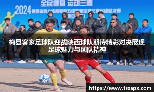 DB电竞平台